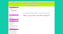 Desktop Screenshot of fct-n.sitego.fr